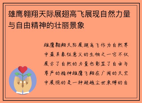 雄鹰翱翔天际展翅高飞展现自然力量与自由精神的壮丽景象